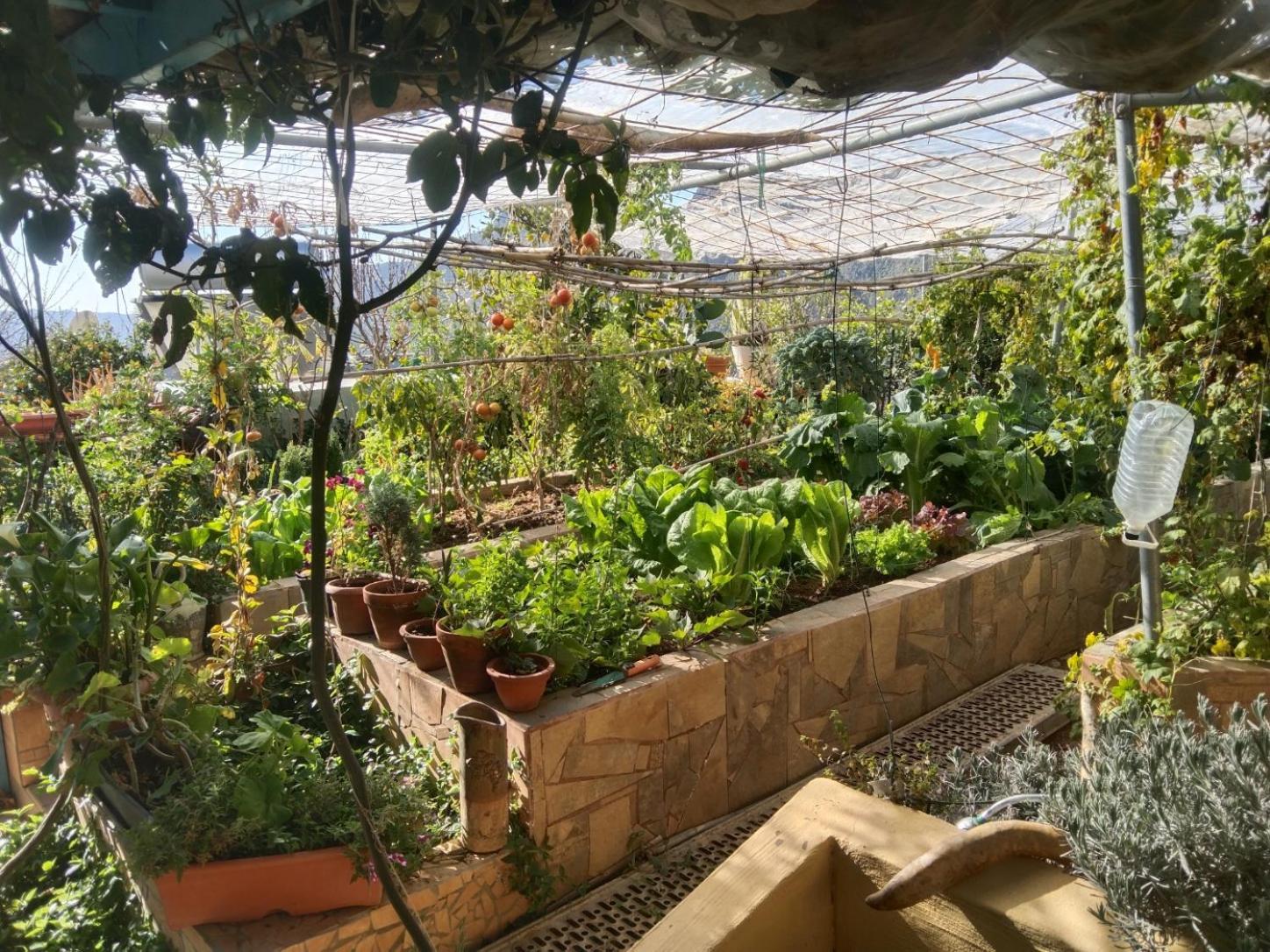 Finca Cortez Apartment 4 San Bartolomé المظهر الخارجي الصورة